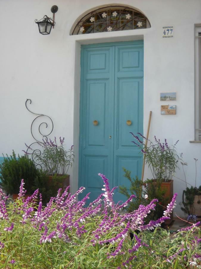 Giardino Della Moscatella Bed & Breakfast Altamura Eksteriør bilde