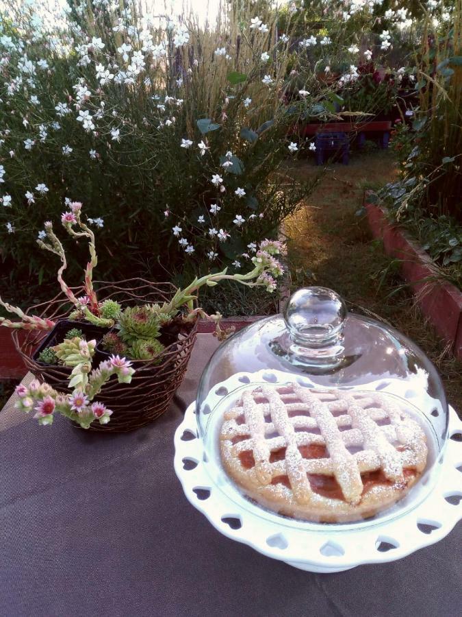 Giardino Della Moscatella Bed & Breakfast Altamura Eksteriør bilde